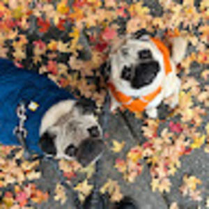 Meet your Posher, Joseph